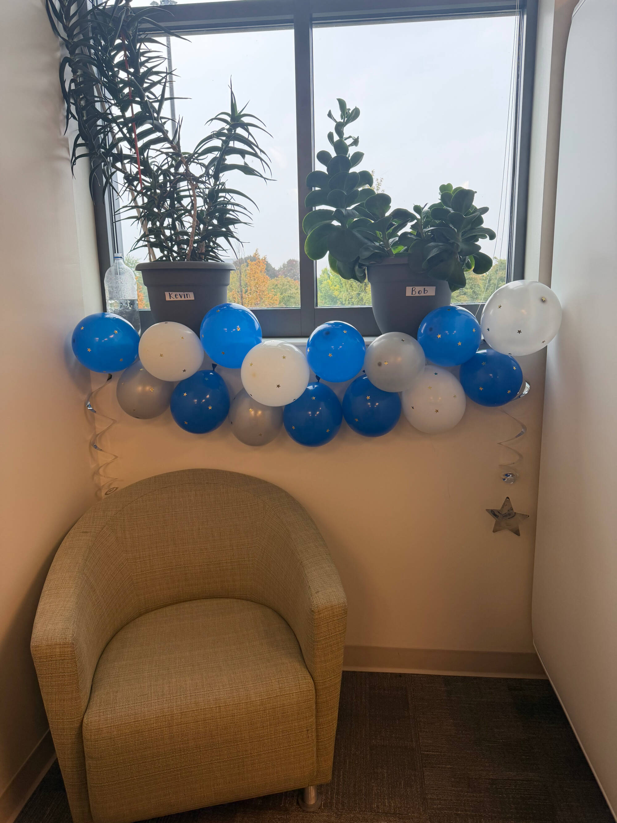 Photo of homecoming decorations